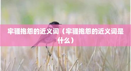牢骚抱怨的近义词（牢骚抱怨的近义词是什么）
