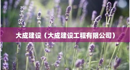 大成建设（大成建设工程有限公司）