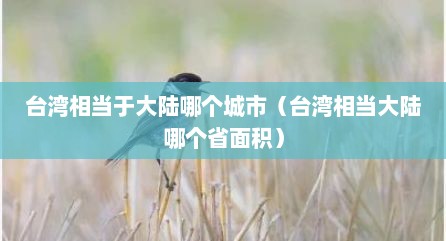 台湾相当于大陆哪个城市（台湾相当大陆哪个省面积）