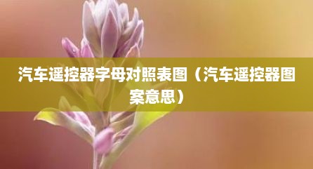 汽车遥控器字母对照表图（汽车遥控器图案意思）
