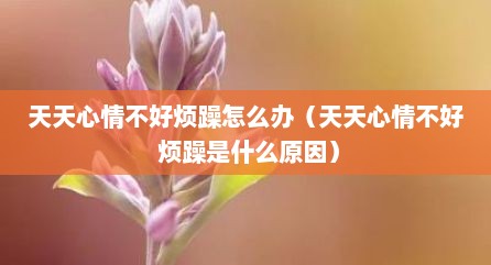 天天心情不好烦躁怎么办（天天心情不好 烦躁是什么原因）