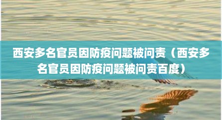 西安多名官员因防疫问题被问责（西安多名官员因防疫问题被问责百度）