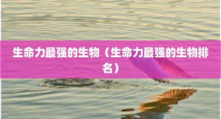 生命力最强的生物（生命力最强的生物排名）