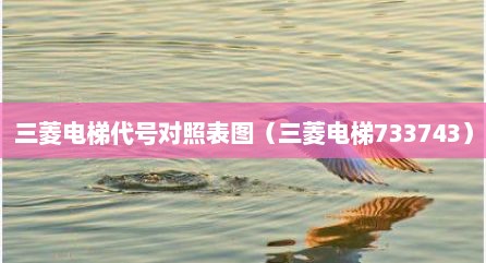 三菱电梯代号对照表图（三菱电梯733743）