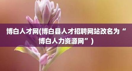 博白人才网(博白县人才招聘网站改名为“博白人力资源网”)