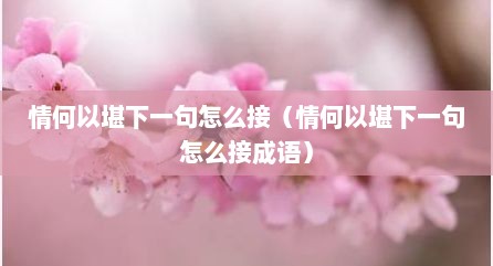 情何以堪下一句怎么接（情何以堪下一句怎么接成语）