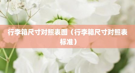 行李箱尺寸对照表图（行李箱尺寸对照表 标准）