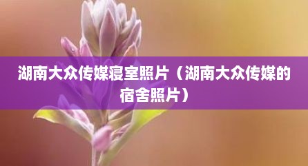 湖南大众传媒寝室照片（湖南大众传媒的宿舍照片）