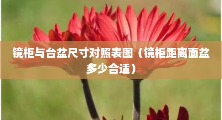 镜柜与台盆尺寸对照表图（镜柜距离面盆多少合适）