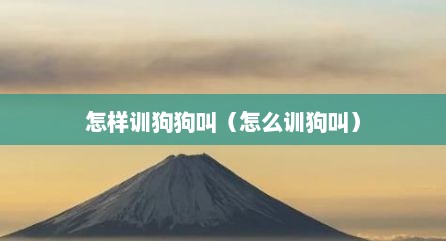 怎样训狗狗叫（怎么训狗叫）
