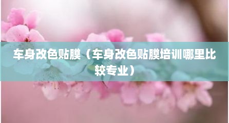 车身改色贴膜（车身改色贴膜培训哪里比较专业）