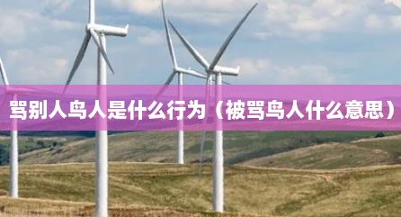 骂别人鸟人是什么行为（被骂鸟人什么意思）