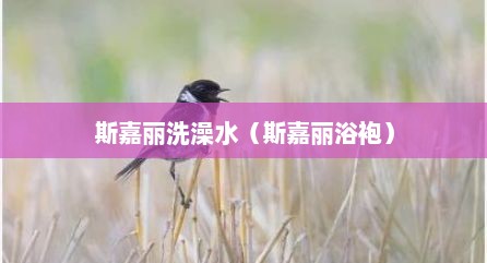斯嘉丽洗澡水（斯嘉丽浴袍）