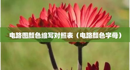 电路图颜色缩写对照表（电路颜色字母）
