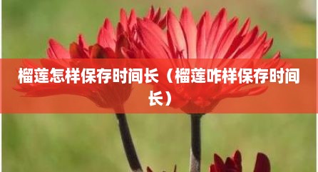 榴莲怎样保存时间长（榴莲咋样保存时间长）