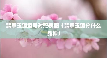 翡翠玉镯型号对照表图（翡翠玉镯分什么品种）