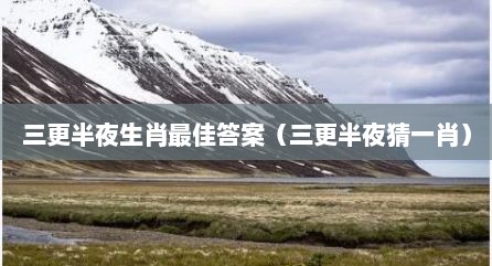 三更半夜生肖最佳答案（三更半夜猜一肖）