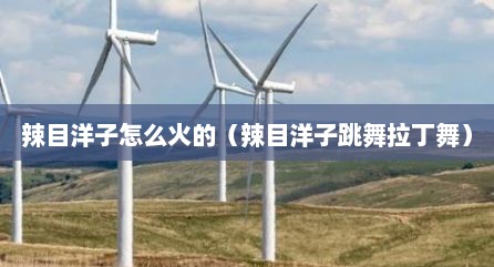 辣目洋子怎么火的（辣目洋子跳舞拉丁舞）
