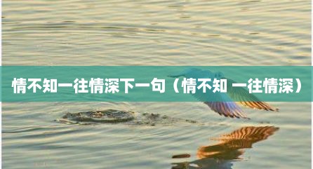 情不知一往情深下一句（情不知 一往情深）