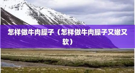 怎样做牛肉臊子（怎样做牛肉臊子又嫩又软）