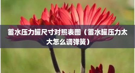 蓄水压力罐尺寸对照表图（蓄水罐压力太大怎么调弹簧）