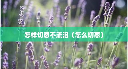 怎样切葱不流泪（怎么切葱）