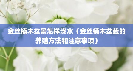 金丝楠木盆景怎样浇水（金丝楠木盆栽的养殖方法和注意事项）