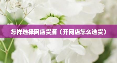 怎样选择网店货源（开网店怎么选货）