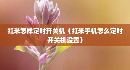 红米怎样定时开关机（红米手机怎么定时开关机设置）