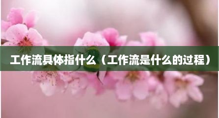 工作流具体指什么（工作流是什么的过程）