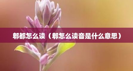 郫都怎么读（郫怎么读音是什么意思）
