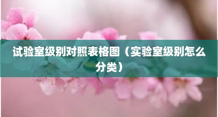 试验室级别对照表格图（实验室级别怎么分类）
