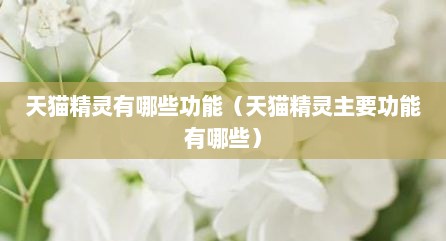 天猫精灵有哪些功能（天猫精灵主要功能有哪些）