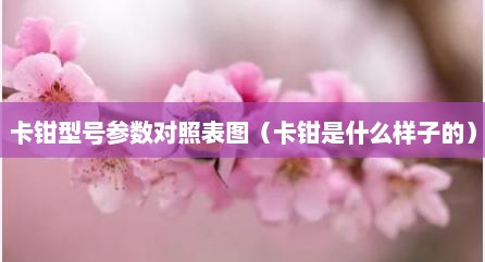 卡钳型号参数对照表图（卡钳是什么样子的）