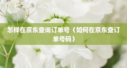 怎样在京东查询订单号（如何在京东查订单号码）
