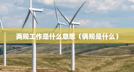 两规工作是什么意思（俩规是什么）