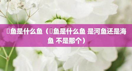 鮰鱼是什么鱼（鮰鱼是什么鱼 是河鱼还是海鱼 不是那个）