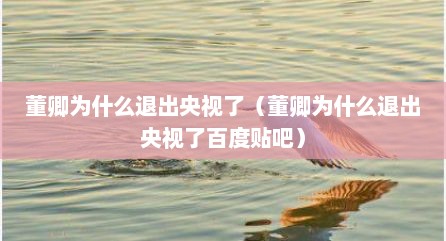 董卿为什么退出央视了（董卿为什么退出央视了百度贴吧）
