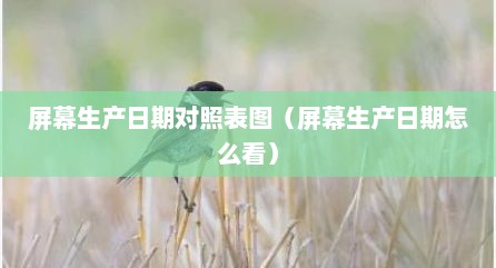 屏幕生产日期对照表图（屏幕生产日期怎么看）