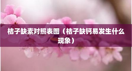 桔子缺素对照表图（桔子缺钙易发生什么现象）