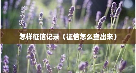 怎样征信记录（征信怎么查出来）