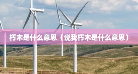 朽木是什么意思（说我朽木是什么意思）