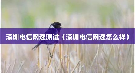 深圳电信网速测试（深圳电信网速怎么样）