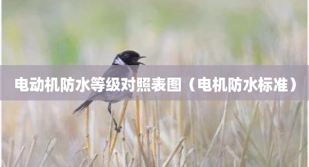 电动机防水等级对照表图（电机防水标准）