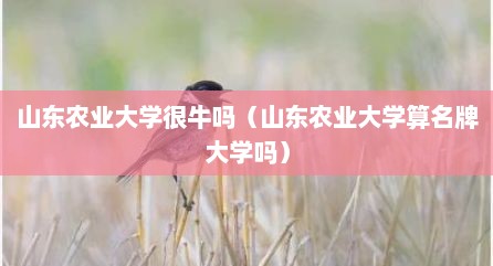 山东农业大学很牛吗（山东农业大学算名牌大学吗）