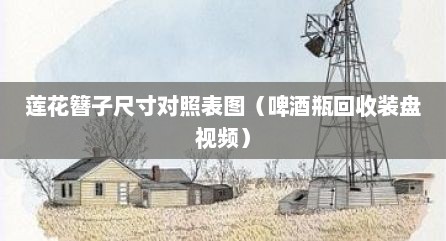 莲花簪子尺寸对照表图（啤酒瓶回收装盘视频）
