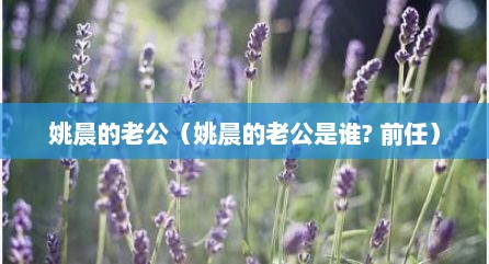 姚晨的老公（姚晨的老公是谁? 前任）