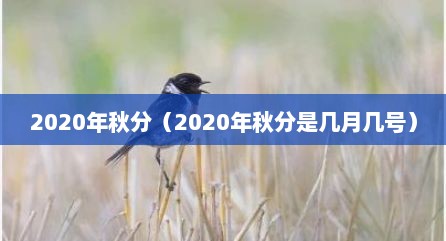 2020年秋分（2020年秋分是几月几号）