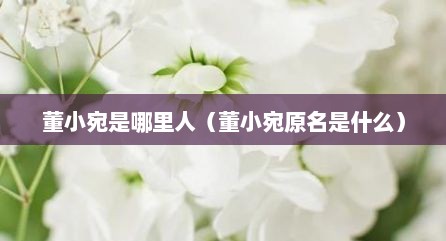 董小宛是哪里人（董小宛原名是什么）