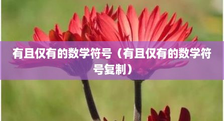 有且仅有的数学符号（有且仅有的数学符号复制）